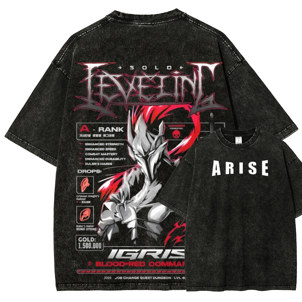 Unisex Fit Washed T-Shirt Solo leveling