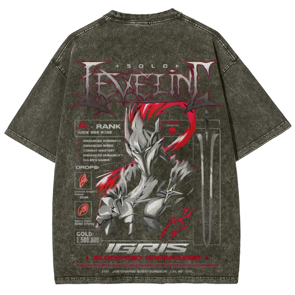 Unisex Fit Washed T-Shirt Solo leveling