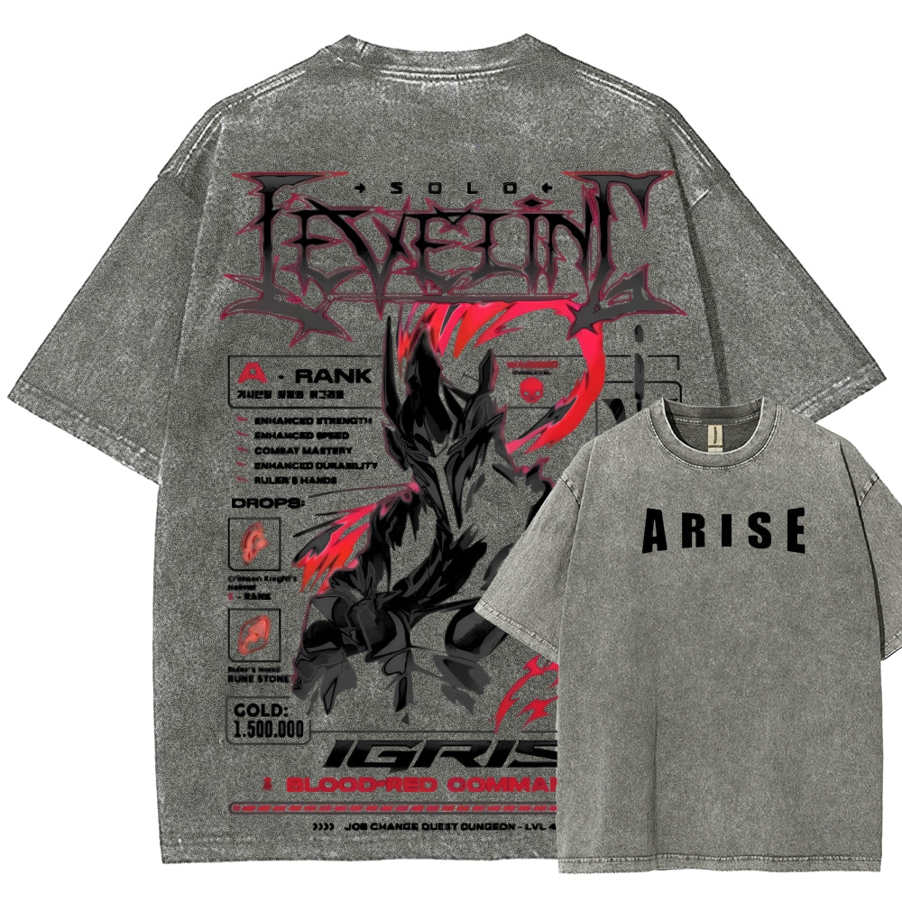 Unisex Fit Washed T-Shirt Solo leveling
