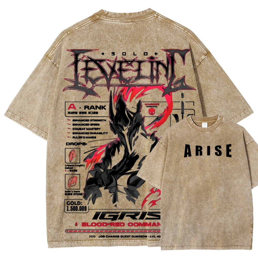 Unisex Fit Washed T-Shirt Solo leveling