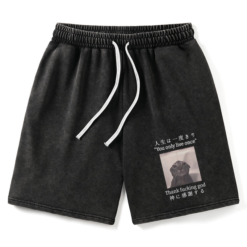 Animescollection Funny Melancholy Cat Washed Shorts