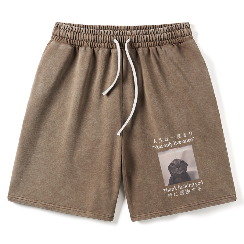 Animescollection Funny Melancholy Cat Washed Shorts